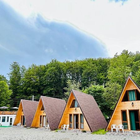 Casa Ursu Villa Cîrţişoara Exterior foto
