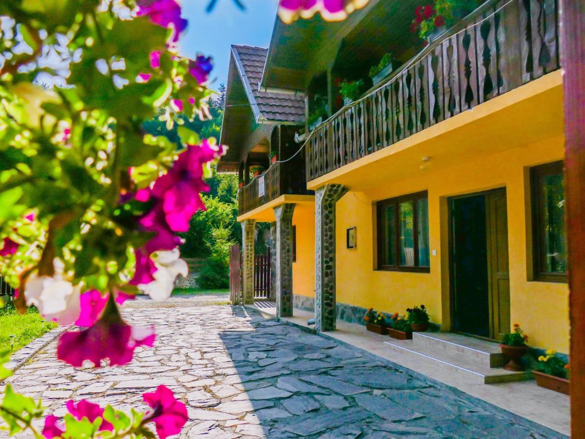 Casa Ursu Villa Cîrţişoara Exterior foto