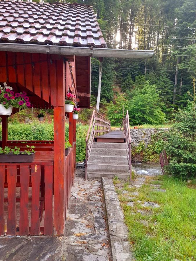 Casa Ursu Villa Cîrţişoara Exterior foto