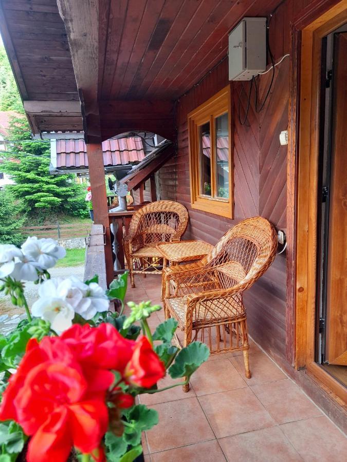 Casa Ursu Villa Cîrţişoara Exterior foto