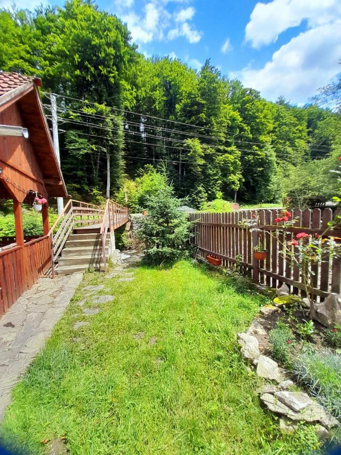 Casa Ursu Villa Cîrţişoara Exterior foto