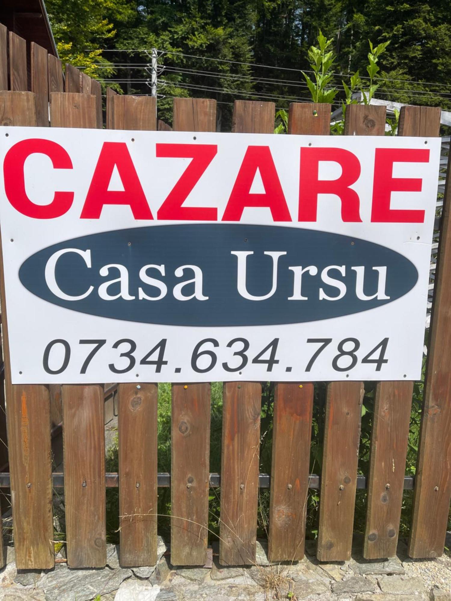 Casa Ursu Villa Cîrţişoara Exterior foto
