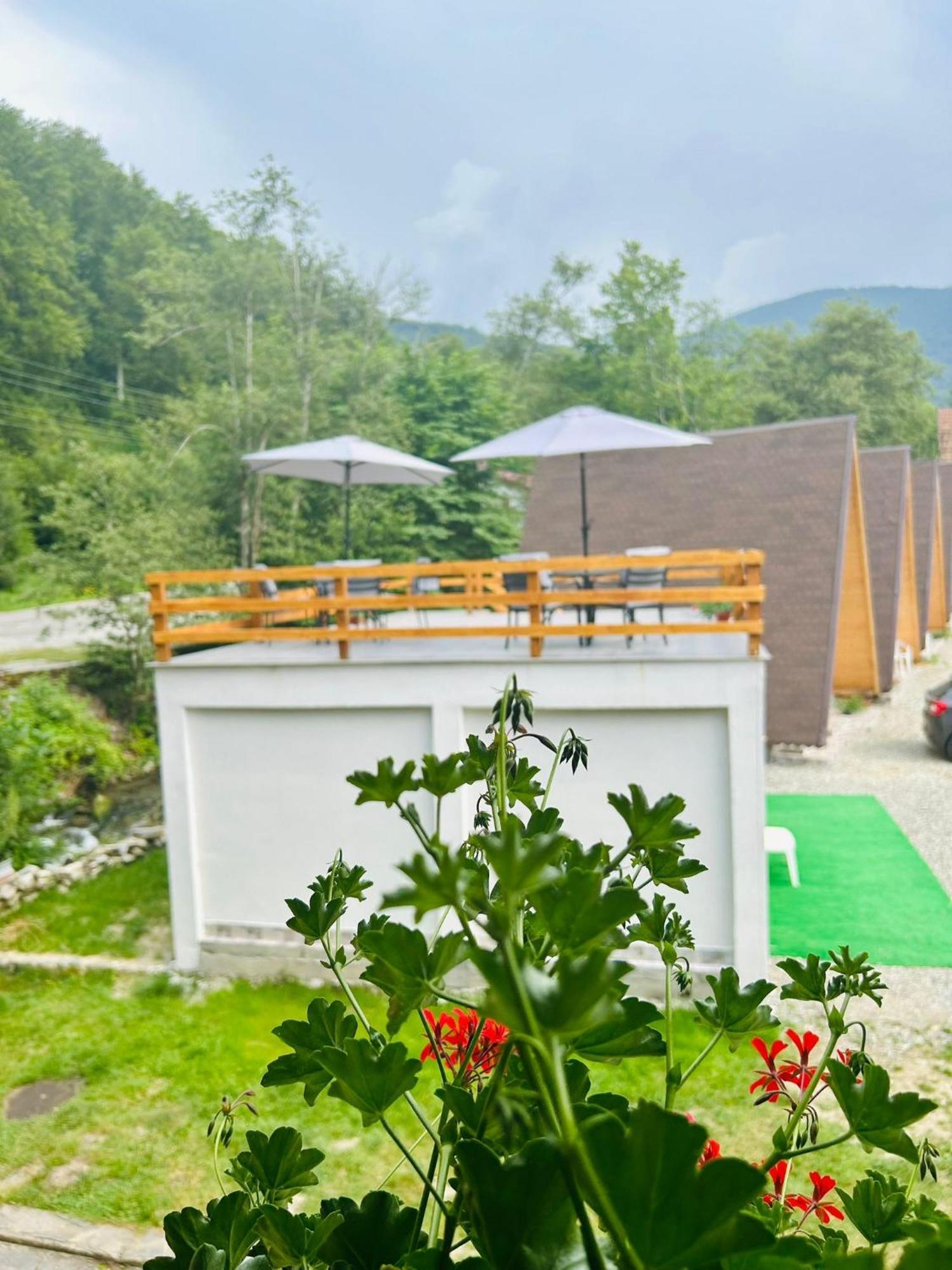 Casa Ursu Villa Cîrţişoara Exterior foto