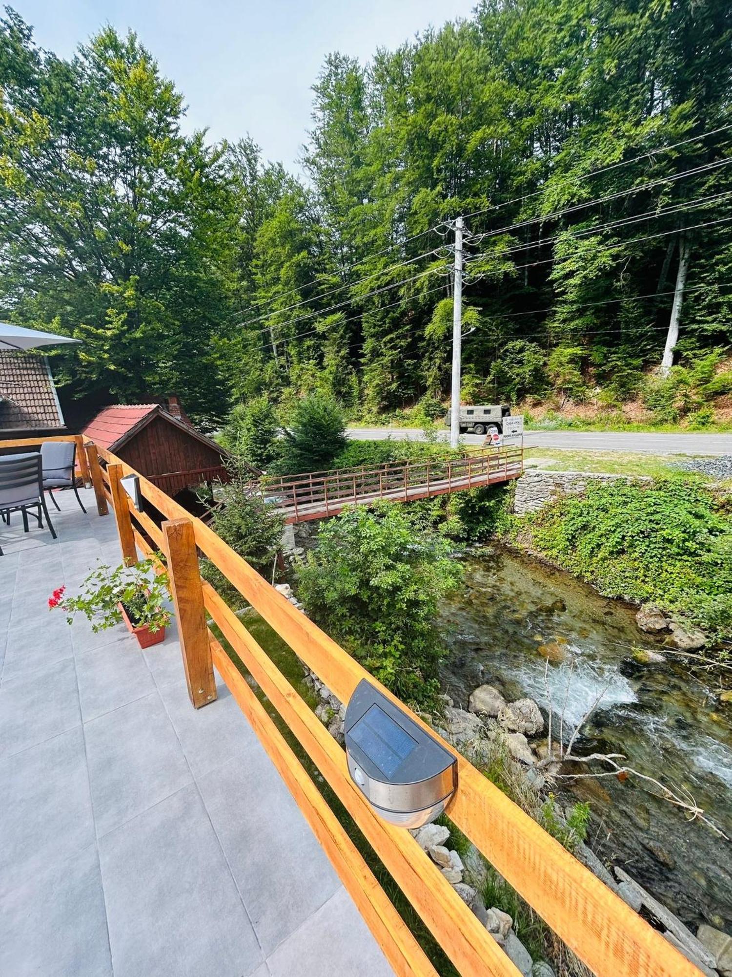 Casa Ursu Villa Cîrţişoara Exterior foto