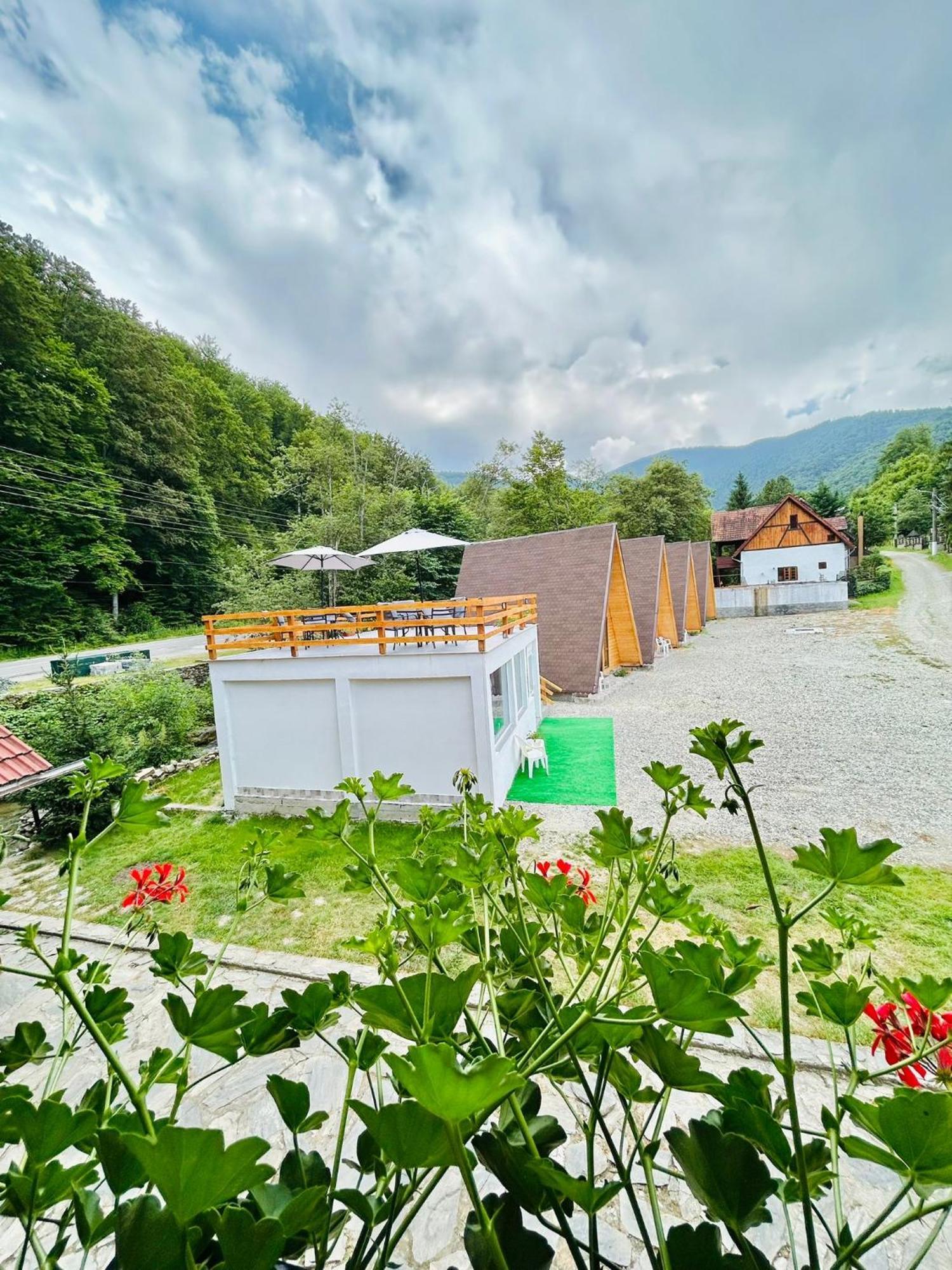 Casa Ursu Villa Cîrţişoara Exterior foto