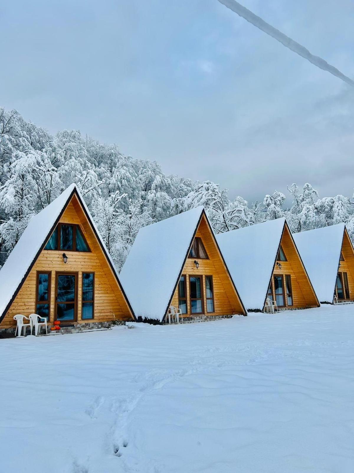 Casa Ursu Villa Cîrţişoara Exterior foto